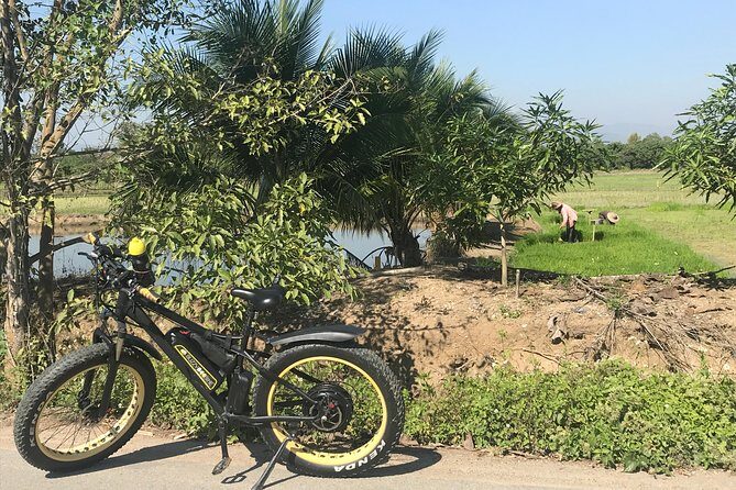 Half-day E-bike Countryside and rice paddies (flat land, GUIDED) - Lunch, snacks, and the included food that saves your energy