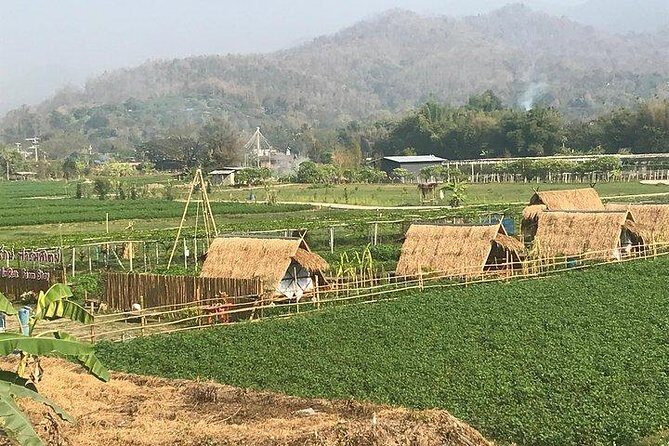 Half-day E-bike Nam Phrae (hilly, fully paved roads, GUIDED) - Wat Ton Kwen: The Lanna-Style Temple Stop That Shapes the Ride