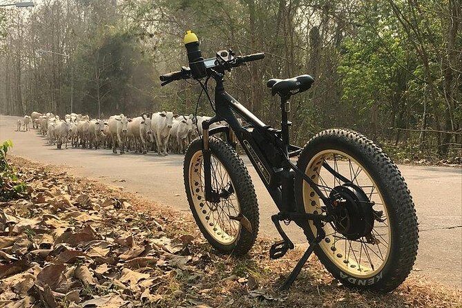 Half-day E-bike Nam Phrae (hilly, fully paved roads, GUIDED) - The Value Math: Why This Often Feels Like a Good Deal