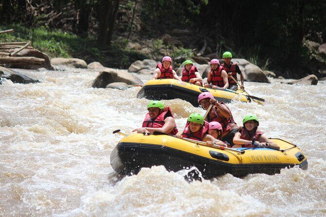Half Day Elephant care and Whitewater Rafting Adventure - Elephant sanctuary morning: calm, ethical, and actually informative