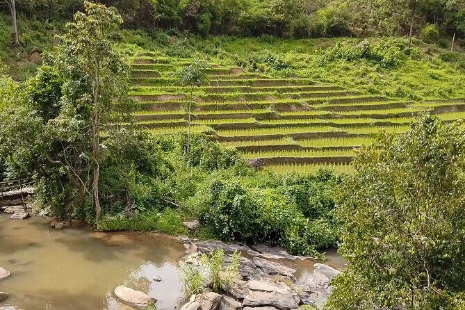 Half Day: Elephant Village Sanctuary - Forest Trekking in Chiang Mai: The Terrain Reality Check