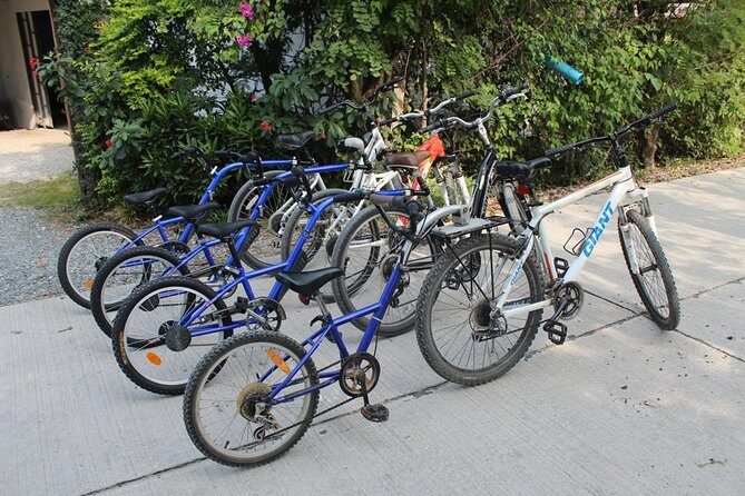 Half-Day Lanna Countryside Cycling Tour in Chiang Mai - What to Bring for a Hot, Active Morning