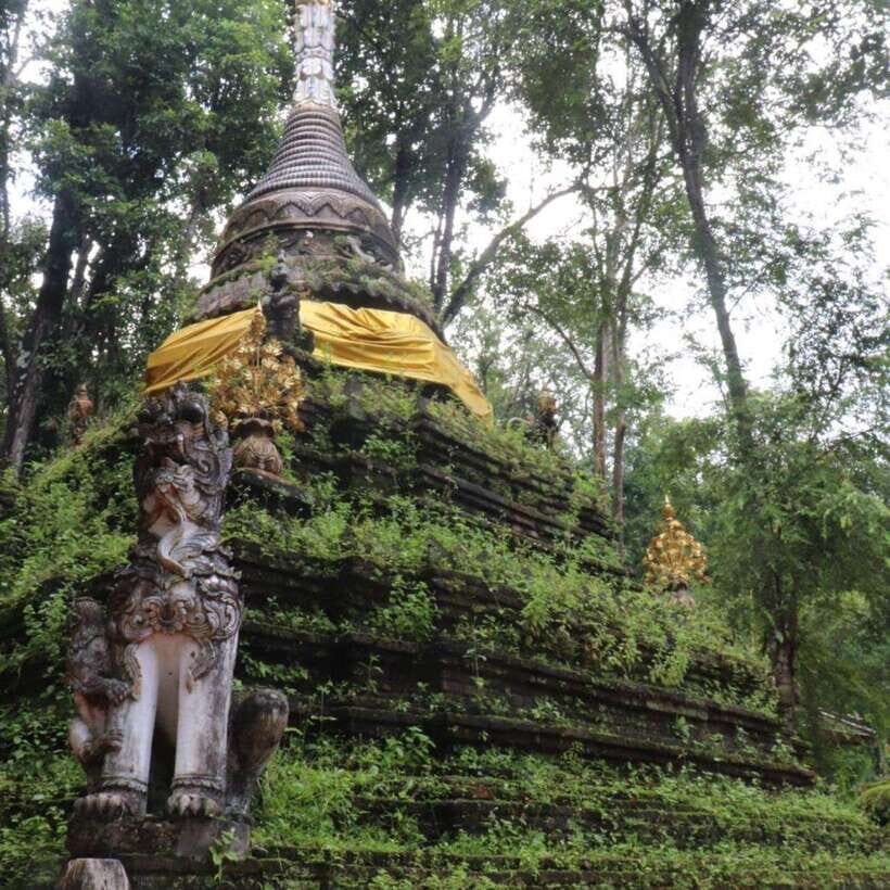 Half Day Morning Wat Pha Lat & Wat Phra That Doi Suthep Tour - Seasonal Note: Wat Pha Lat Access in Early February 2026