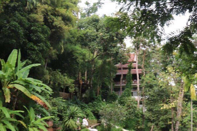 Half Day Morning Wat Pha Lat & Wat Phra That Doi Suthep Tour - Wat Pha Lat: A Thai-Burmese Temple in a Jungle Setting