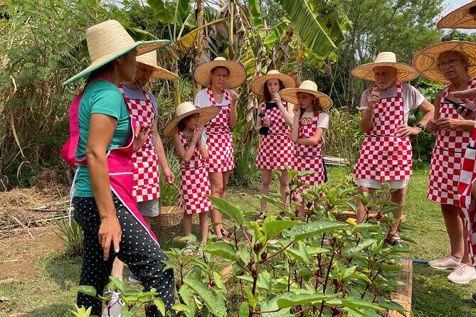 Half-Day Thai Cooking Class at Organic Farm in Chiang Mai - Key things I’d plan around