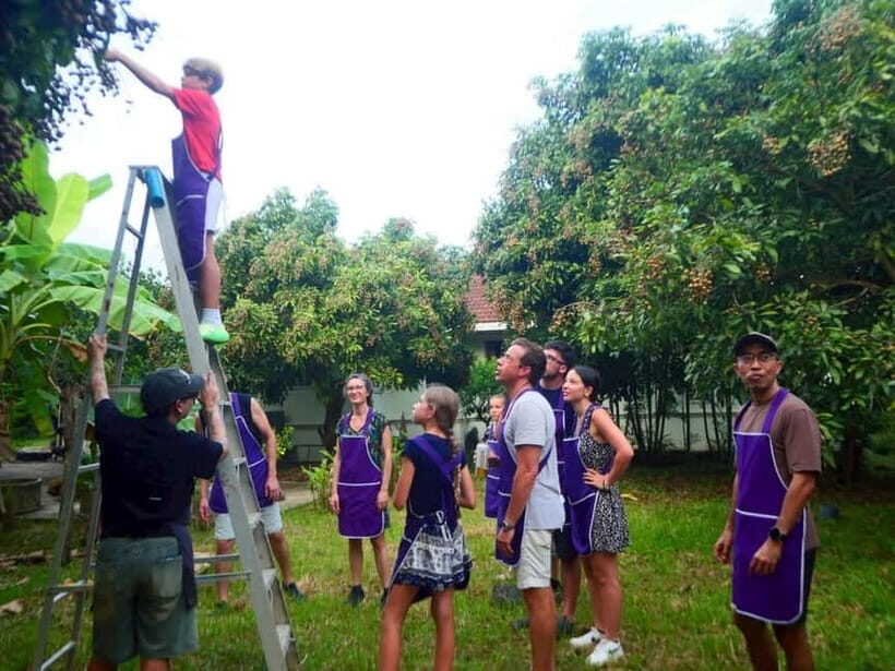 Half-Day Thai Cooking Class on a Local Farm Near Chiang Mai - Key highlights at a glance