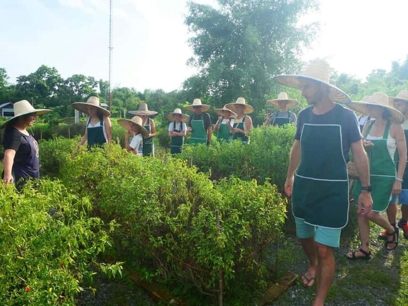 Half-Day Thai Cooking Class on a Local Farm Near Chiang Mai - The cooking class: from curry paste to spring rolls