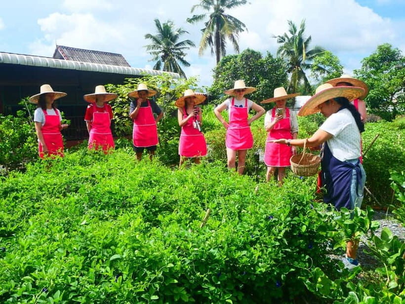 Half-Day Thai Cooking Class on a Local Farm Near Chiang Mai - Little things that make the day smoother