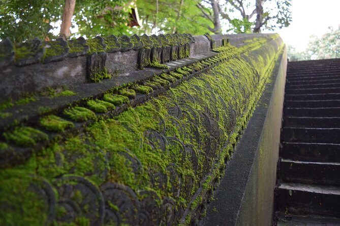 Half Day tour Suan Dok Temple, Umong temple & Doi Suthep Temple - Food, Drinks, and Halal or Vegetarian Options