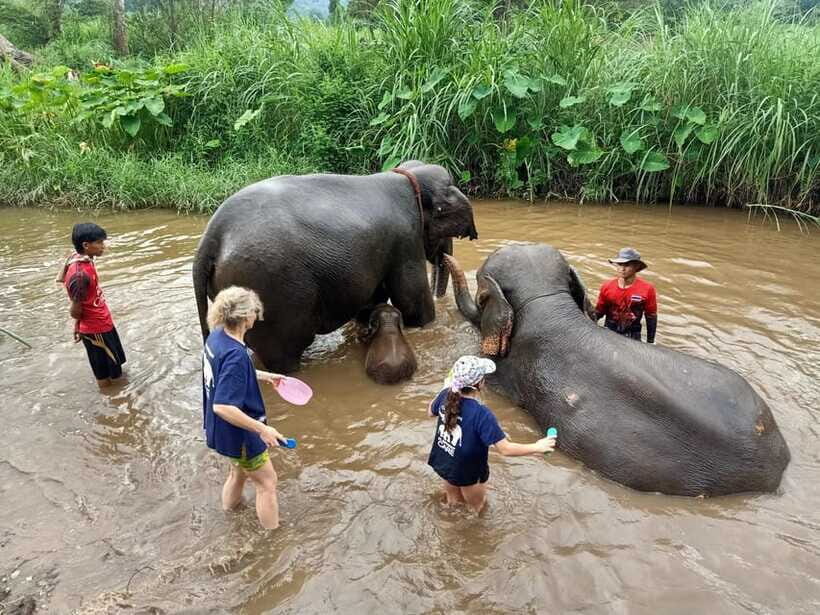 Half-day with CHIANGMAI ELEPHANT CARE program (12pm-6pm.) - Quick tips so your day feels smooth
