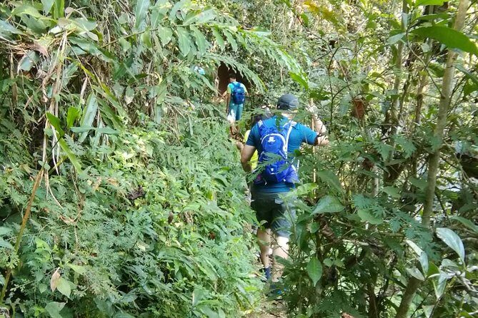 Hiking and Zipline Private Tour from Chiang Mai +Karen Village - Private jungle sights: What you’re really signing up for