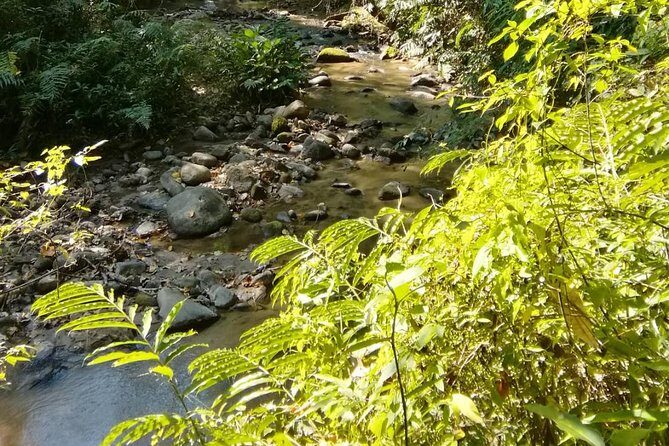 Hiking and Zipline Private Tour from Chiang Mai +Karen Village - The guide can make or break the day: praise for Eak Zaa and Eak