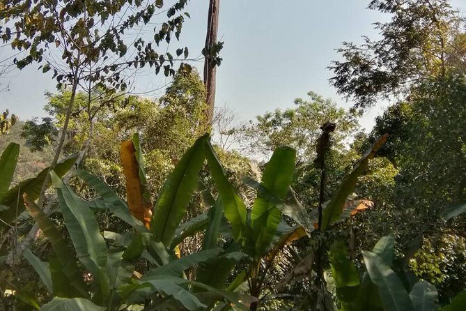 Hiking and Zipline Private Tour from Chiang Mai +Karen Village - Lunch included: small detail, big payoff on a long day