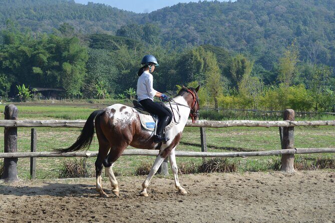 Horse Lesson+Riding+Wat Tonkwen wooden temple.Chiangmai - Key points to know