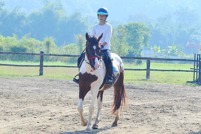 Horse Lesson+Riding+Wat Tonkwen wooden temple.Chiangmai - Lunch included: why food matters on a 4-hour outing