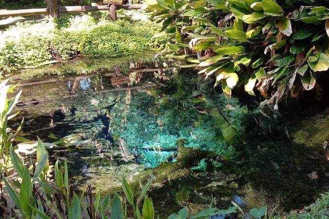 Hot! Doisuthep Temple+Wat Palad+Sticky waterfall - Wat Pha Lat: the forest-temple break that doesn’t feel rushed