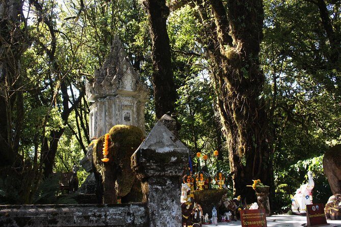 Inthanon Day Trip from Chiang Mai with Lunch - Group or Private - Stop 1: Doi Inthanon National Park (where the day starts to feel big)