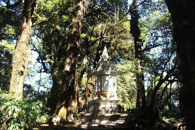 Inthanon Day Trip from Chiang Mai with Lunch - Group or Private - Stop 2: Ang Ka Nature Trail (short walk, real forest feel)