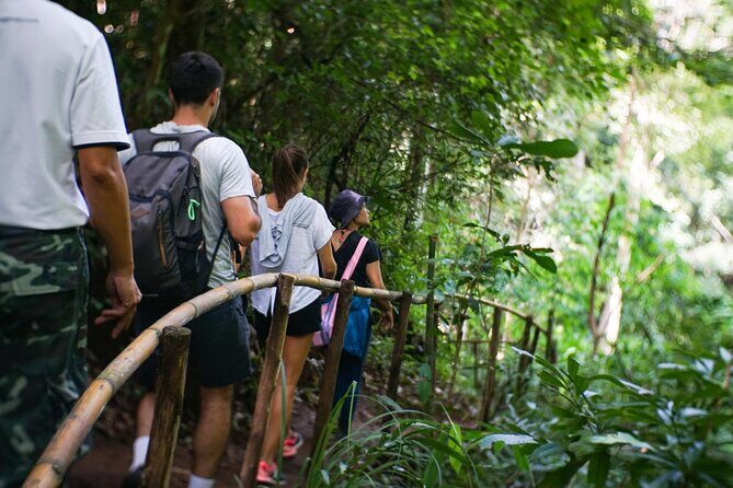 Inthanon National Park Tour with Soft Hike at Pha Dok Siew Trail - Inthanon National Park: why this tour feels different from a basic day trip