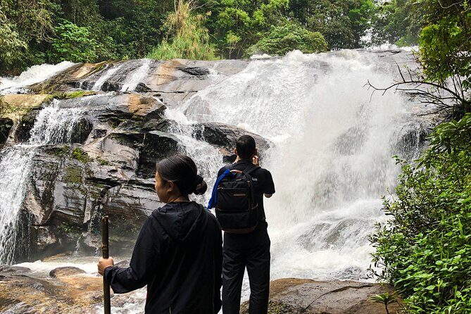 Inthanon National Park Tour with Soft Hike at Pha Dok Siew Trail - Stop 1: Doi Inthanon—start high, then start learning