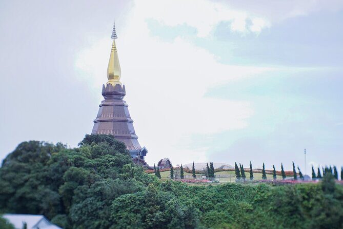 Inthanon National Park Tour with Soft Hike at Pha Dok Siew Trail - Stop 2: Ang Ka Nature Trail—your quick rainforest hit