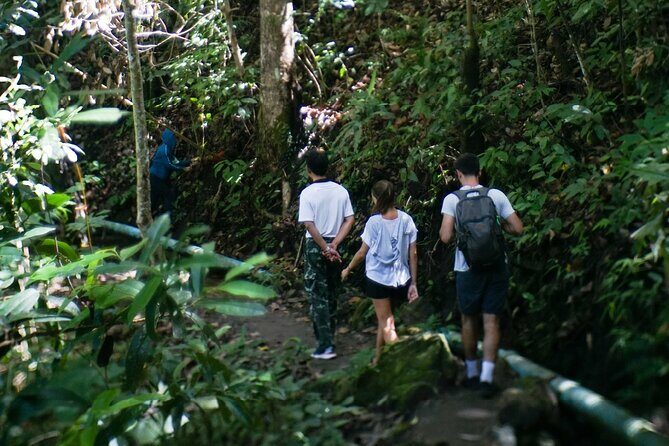 Inthanon National Park Tour with Soft Hike at Pha Dok Siew Trail - Stop 3: The pagodas for the King and Queen’s 60th birthdays
