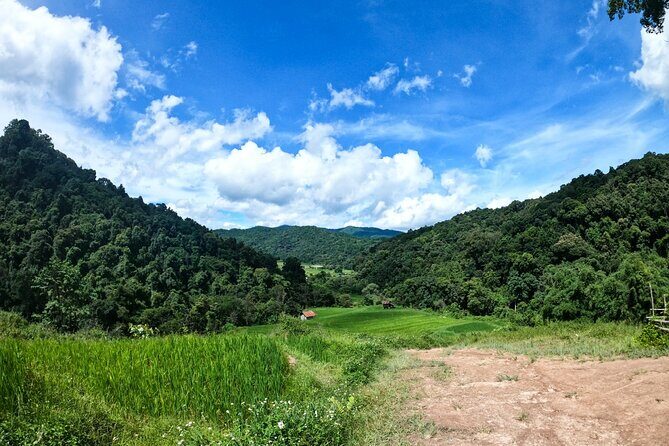 Inthanon National Park Tour with Soft Hike at Pha Dok Siew Trail - Stop 4: Hmong market—grab fruit and keep it casual