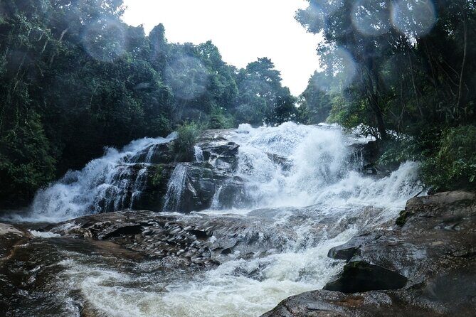 Inthanon National Park Tour with Soft Hike at Pha Dok Siew Trail - Stop 5: Royal Agricultural Station Inthanon—lunch with a viewpoint