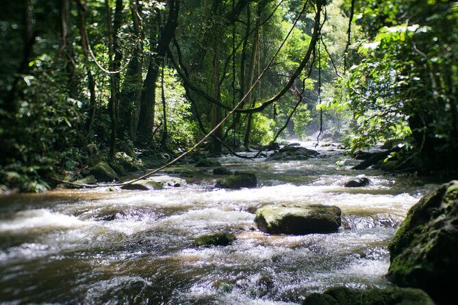 Inthanon National Park Tour with Soft Hike at Pha Dok Siew Trail - Stop 6: Pha Dok Seaw Waterfall and the two-hour soft hike