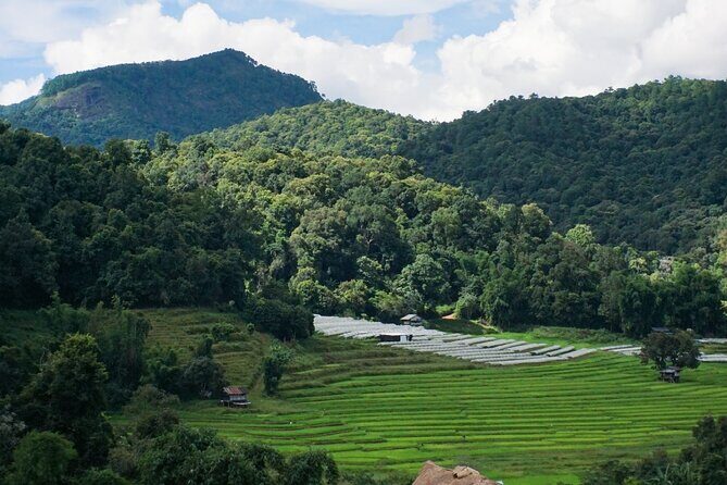 Inthanon National Park Tour with Soft Hike at Pha Dok Siew Trail - Pickup, timing, and the real pace of the day