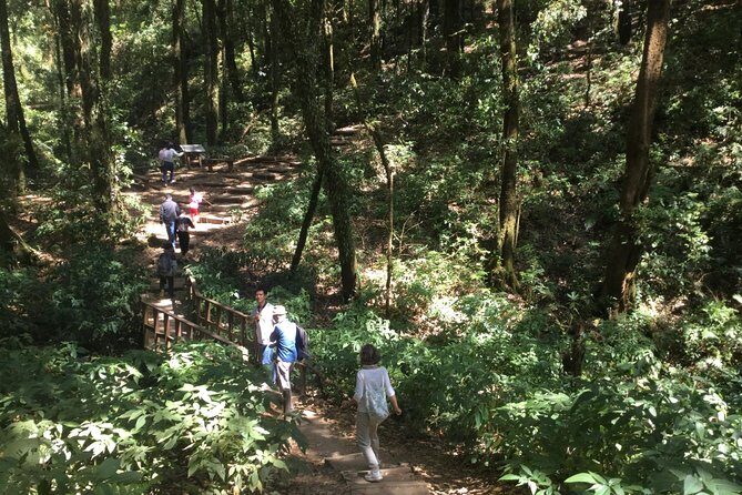 Inthanon Small-Group with Kew Mae Pan Trail from Chiang Mai include Lunch - Why Doi Inthanon feels different from a typical Chiang Mai day trip