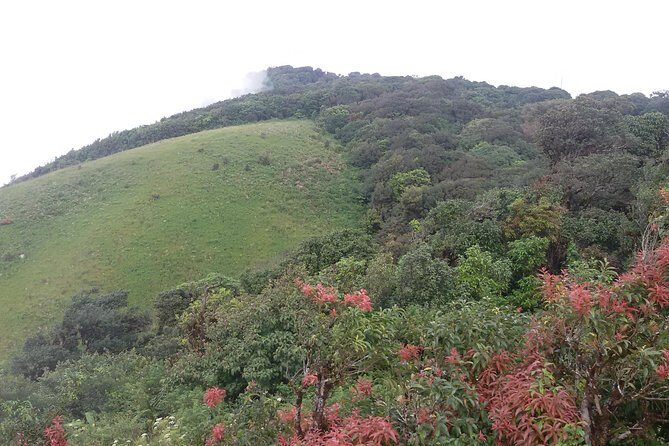Inthanon Small-Group with Kew Mae Pan Trail from Chiang Mai include Lunch - Wachirathan Waterfall and Mae Klang Luang Hill Tribe Village