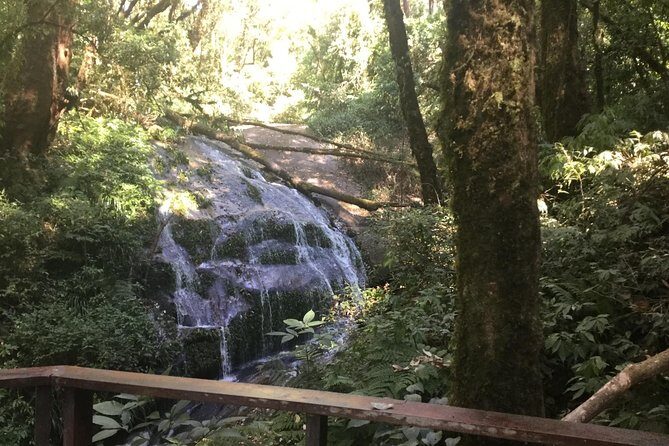 Inthanon Small-Group with Kew Mae Pan Trail from Chiang Mai include Lunch - Guide quality, group size, and the pace that keeps you comfortable