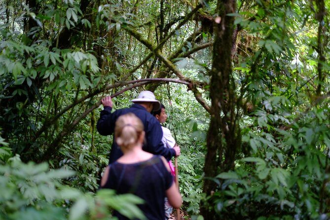 Inthanon Small-Group with Kew Mae Pan Trail from Chiang Mai include Lunch - Price and value: what $113 covers and where you may pay extra