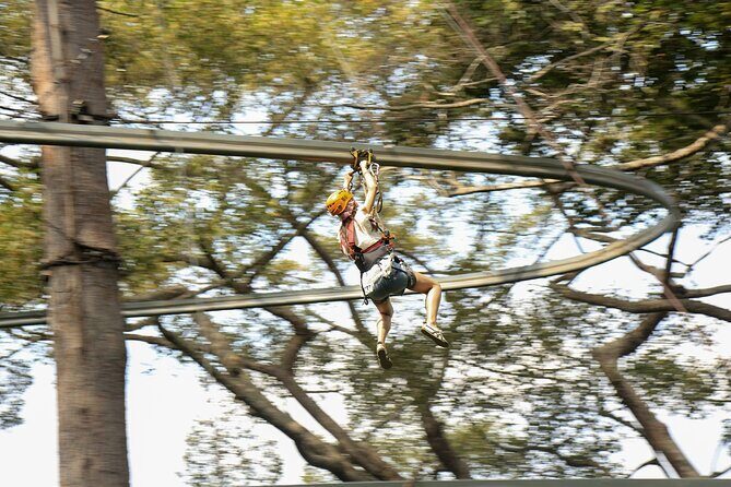 Jungle Flight Zipline Adventure From Chiang Mai - Key Things to Know Before You Go