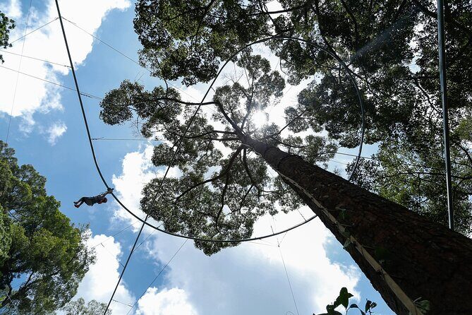 Jungle Flight Zipline Adventure From Chiang Mai - Rainforest Preservation Talk: Learning That Doesn’t Feel Like a Lecture