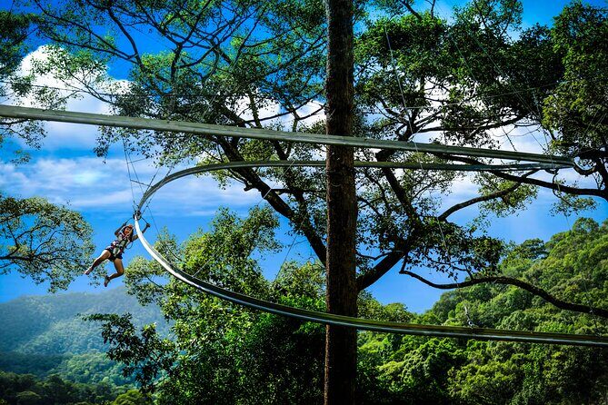 Jungle Flight Zipline Roller Coaster - The Guides’ Safety Style: what you should watch for