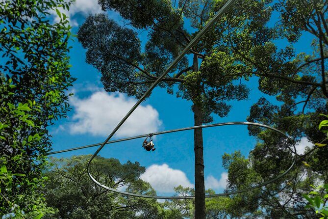 Jungle Flight Zipline Roller Coaster - Who should book Jungle Flight, and who should pause