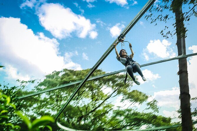 Jungle Flight Zipline Roller Coaster - The Zipline Circuit: about 15 rides, platforms, and the big 800m run