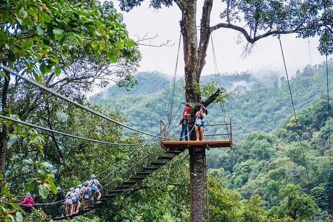 Kingkong Smile Zipline Adventure Tour From Chiang Mai - Price and value: is $79.39 worth it?