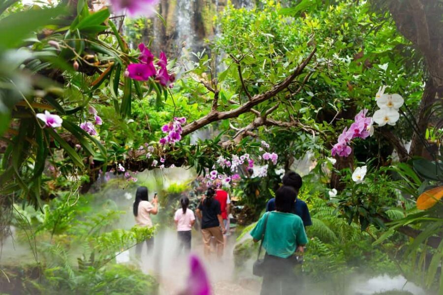 Lalita Cafe & Chiang Rai Temple(White+Blue) from Chiangmai - Practical tips for a smooth day