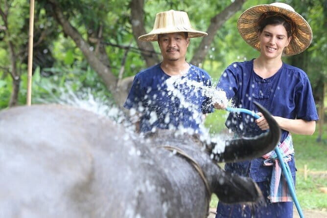 Local Farming Experience in Chiang Mai, Thailand - What a 3-Hour Hang Tueng Farming Workshop Really Covers