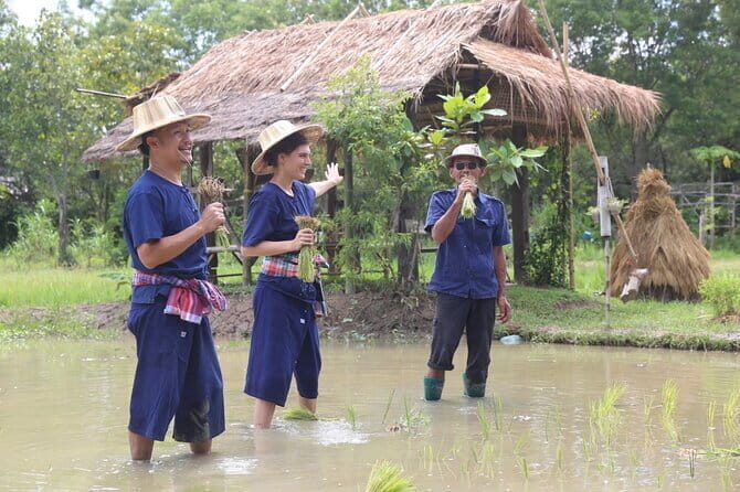 Local Farming Experience in Chiang Mai, Thailand - What to Expect on the Ground: Mess, Water, and a Real Farm Rhythm