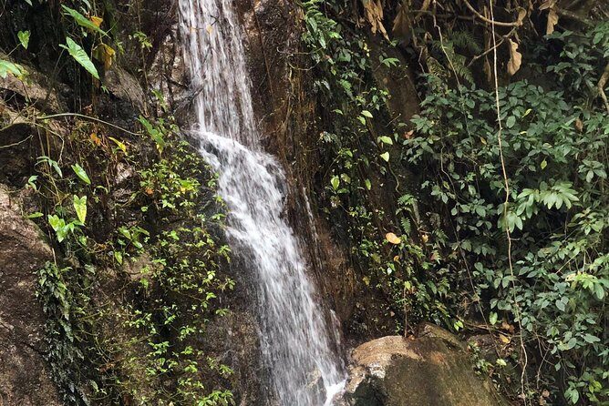 Lost in Chiang Mai - Secret Village, Hot Spring & Waterfall - A Cultural Therapy - The secret village setting: waterfalls, coffee, and that 1000-year-tree vibe