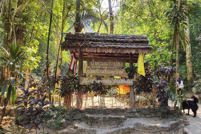 Lost in Chiang Mai - Secret Village, Hot Spring & Waterfall - A Cultural Therapy - Food and drink: plan for self-guided snacking
