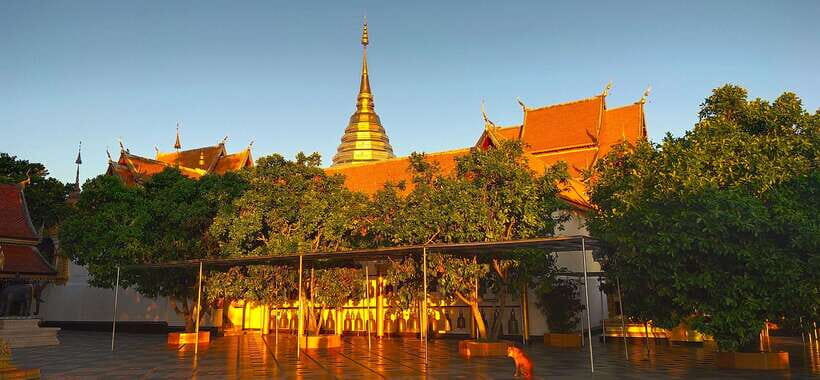 Monk trails hike, Wat Phalat, Monk chanting, Wat Doi Suthep. - Wat Doi Suthep in the calmer hours: views day and night energy