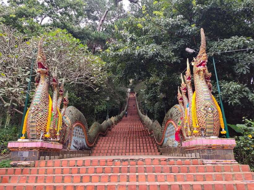 Monk trails hike, Wat Phalat, Monk chanting, Wat Doi Suthep. - Price and value: is $44 worth a hike plus temples and lunch?