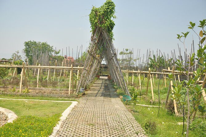Morning Cooking Class in Organic Farm with Local Market Tour - Who Should Book This Chiang Mai Cooking Class