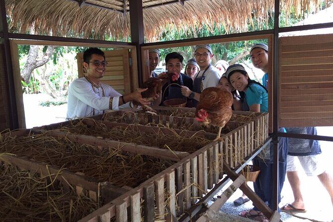 Morning Cooking Class in Traditional Pavilion with Beautiful Garden - Chiang Mai - Why the small group and step-by-step teaching is the real value