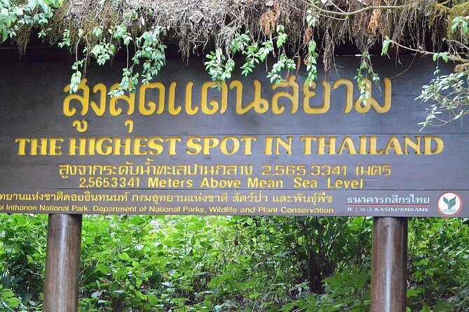 Mount Doi Inthanon Hiking & Bird Watching - Breakfast and Lunch: Simple, Filling, and Actually Useful Early